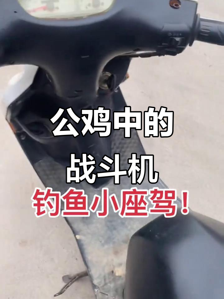 斗鸡场上的“战斗机”,自家养殖的公鸡大比拼