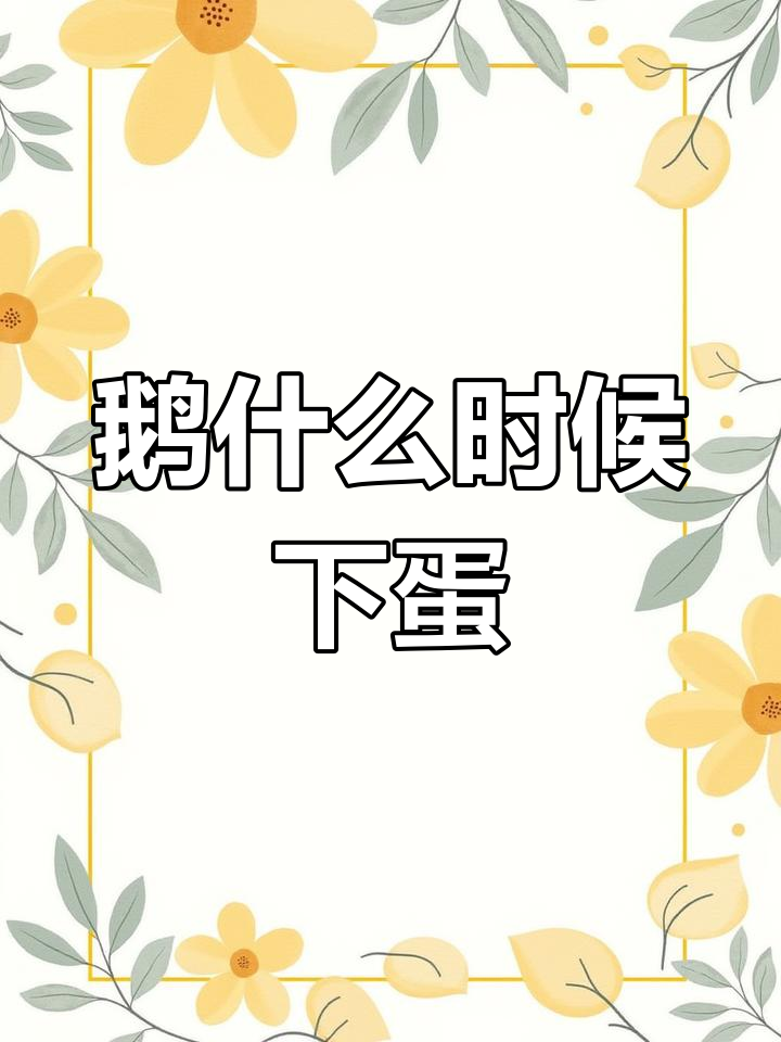 不同品种鹅产蛋时间解析