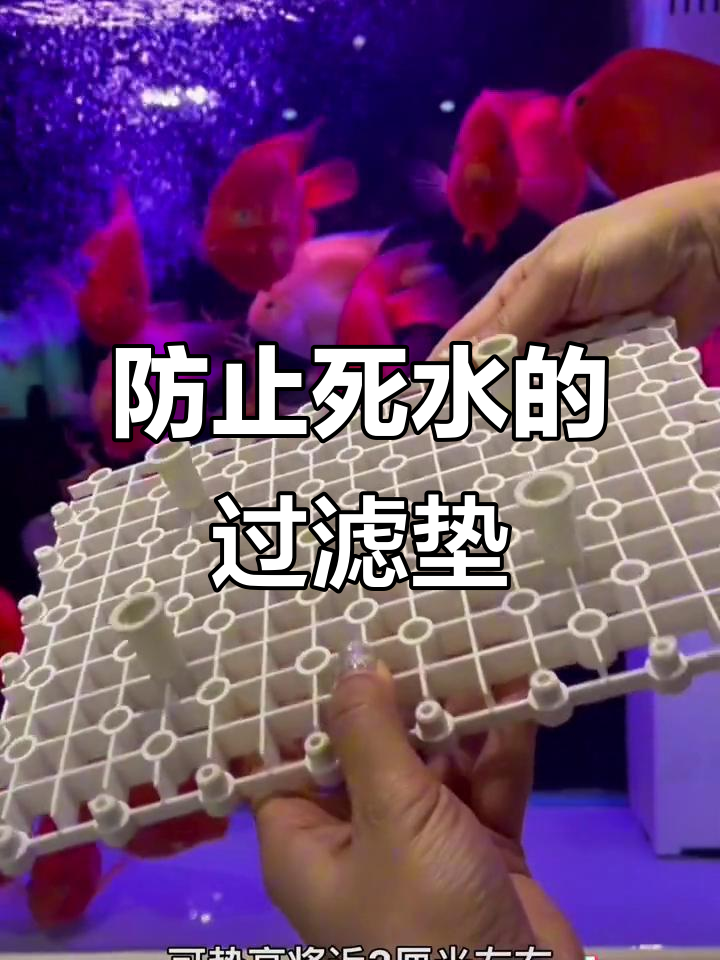 鱼缸底滤垫板,提升水循环效果
