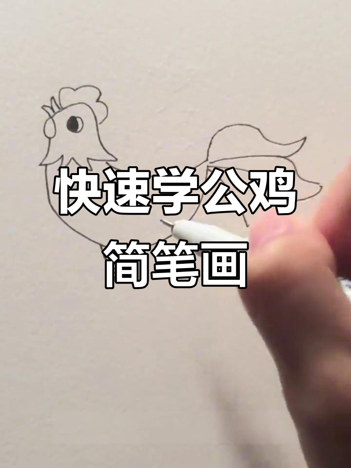 公鸡也能轻松画，步骤超简单！