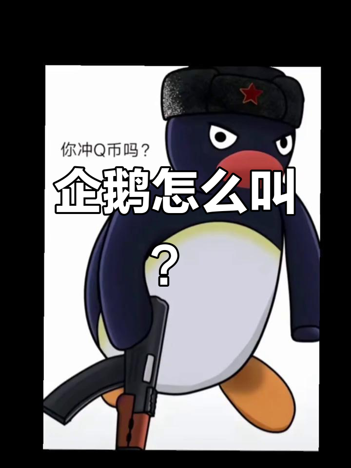 企鹅叫声大揭秘,东北大花袄版!