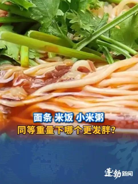 面条 米饭 小米粥 同等重量下哪个更发胖