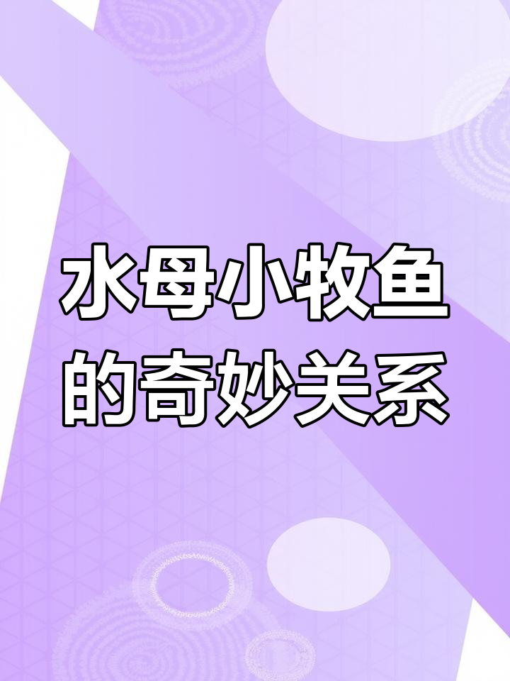 水母和小木鱼：默契合作，捕食与诱饵的完美配合