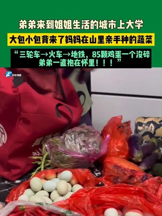 弟弟来到姐姐生活的城市上大学，大包小包背来了妈妈在山里亲手种的蔬菜！“三轮车→火车→地铁，