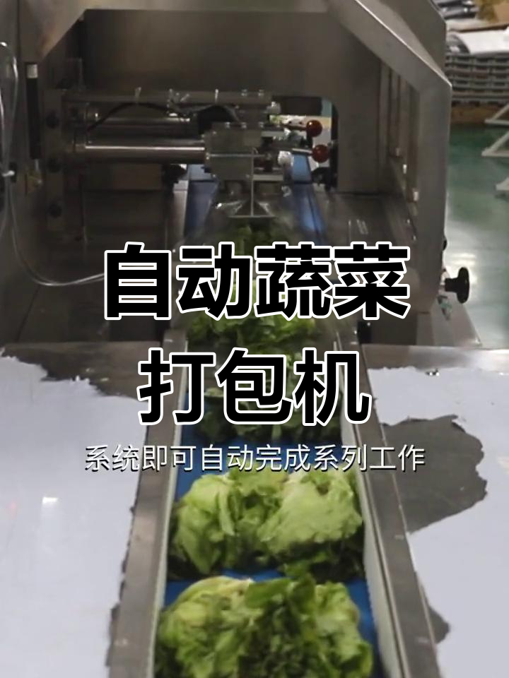 智能蔬菜包装机,自动打孔保鲜更高效