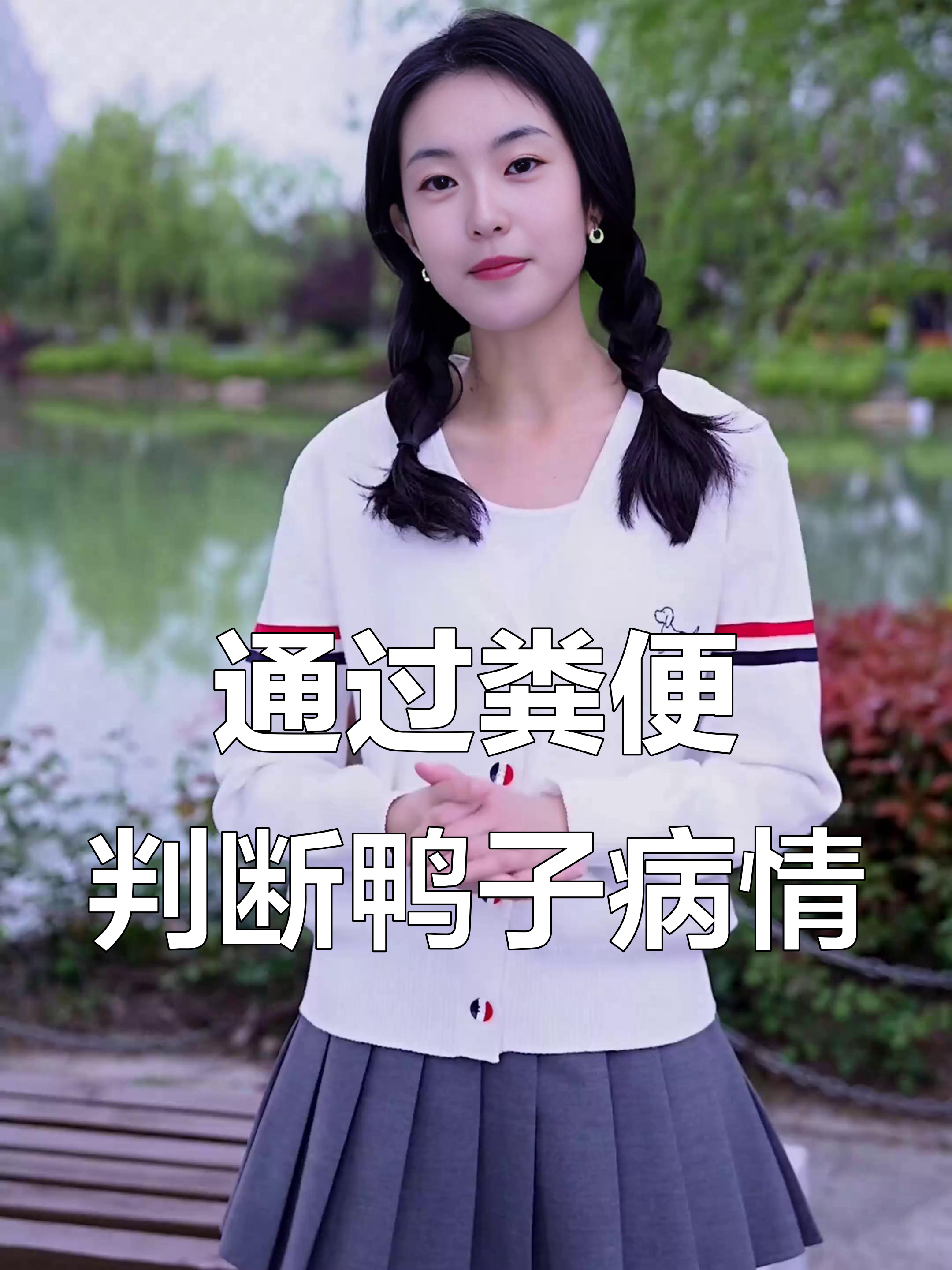 鸭病防治:从粪便看健康与疾病