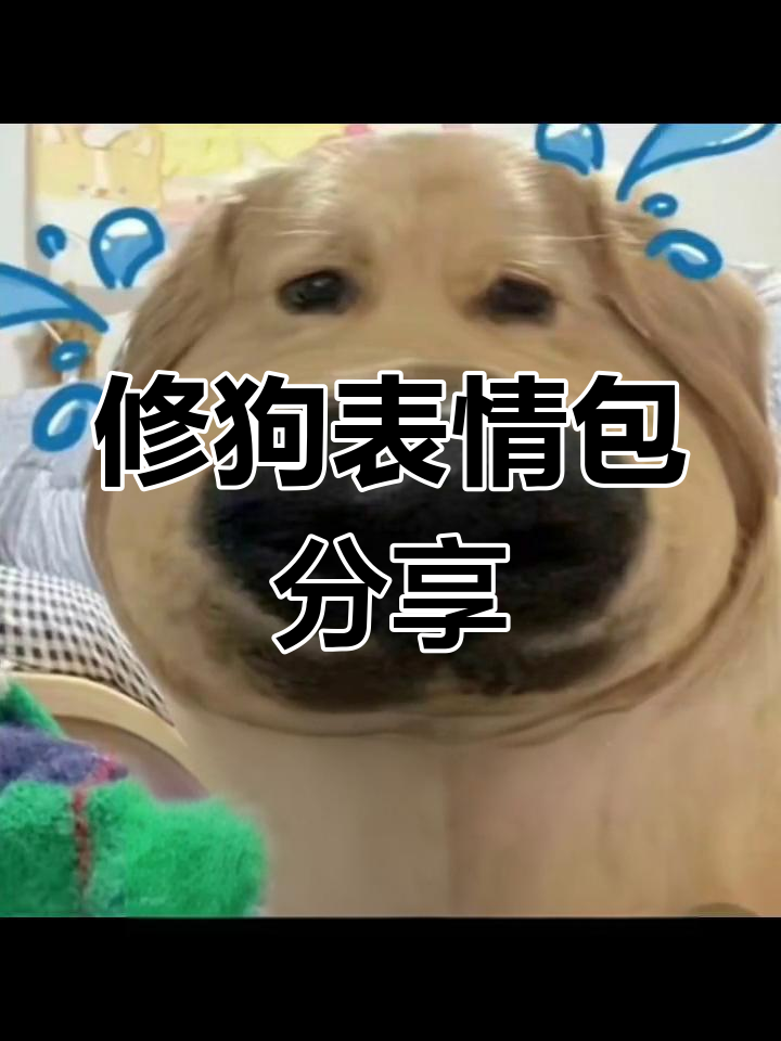 可爱修狗表情包合集