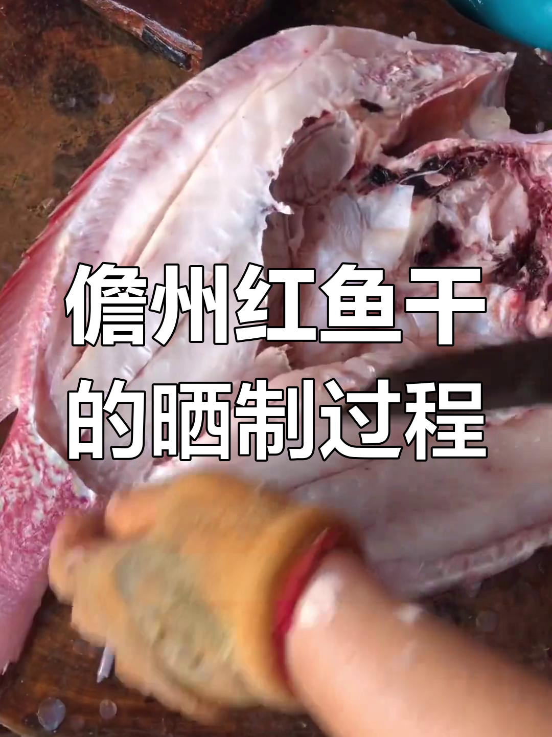 红鱼干制作揭秘:从海捕到咸香美味的独特工艺