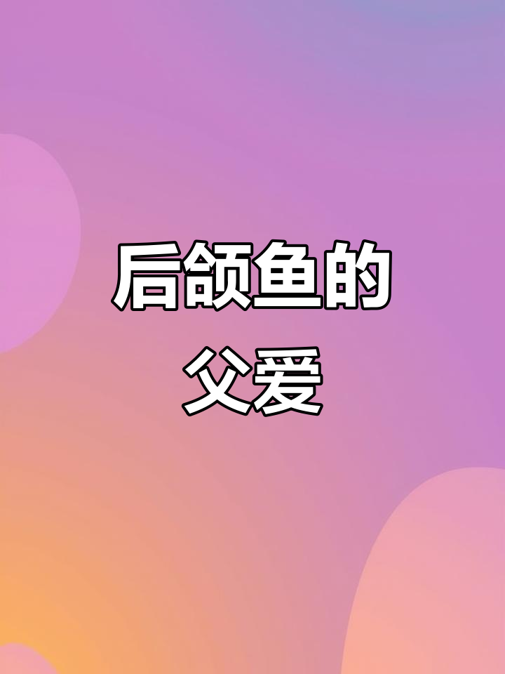 雄性后颌鱼守护卵,期间无法进食,体重逐渐减轻