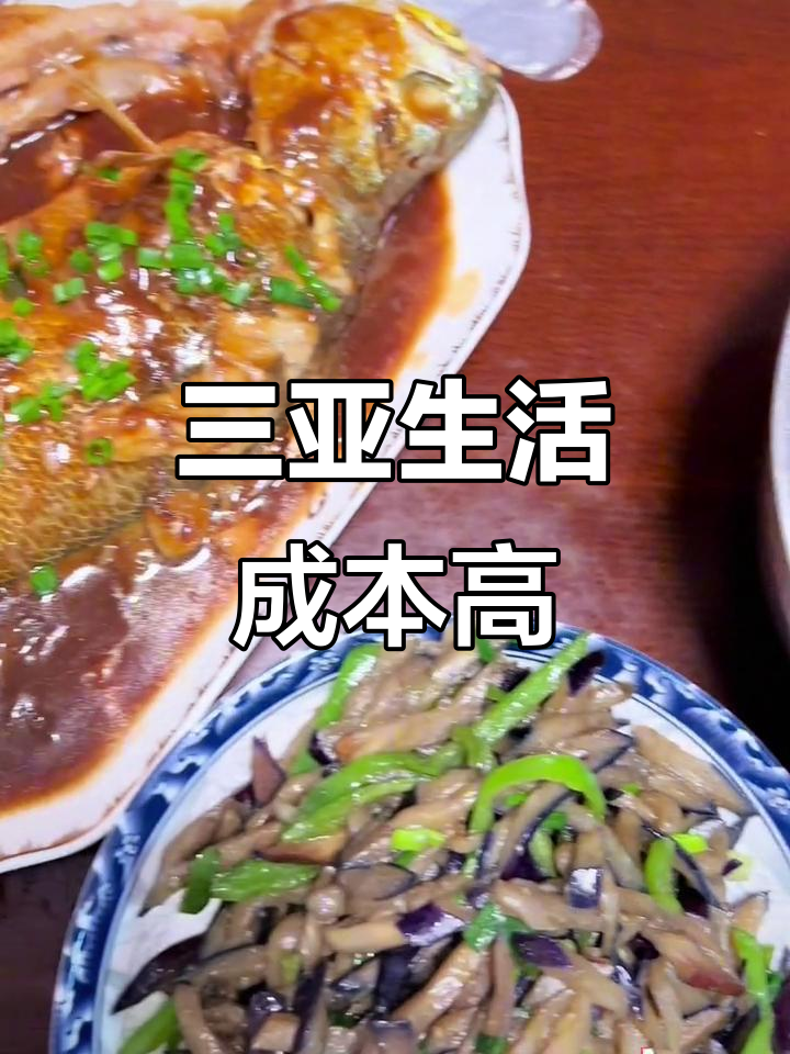 三亚物价太高,一天不挣钱连尖椒干豆腐都吃不起