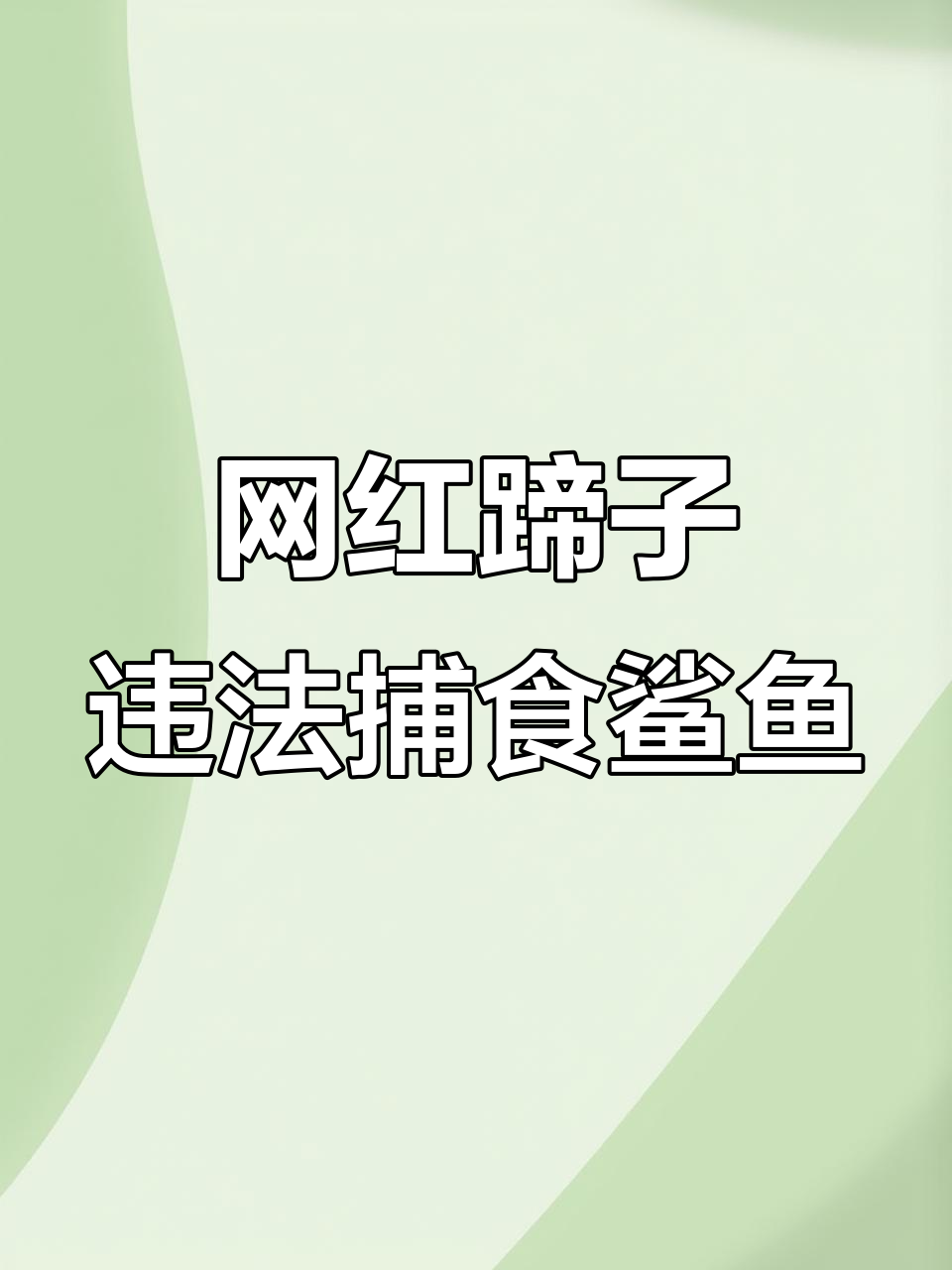 网红提子吃濒危鲨鱼,视频引发网友热议