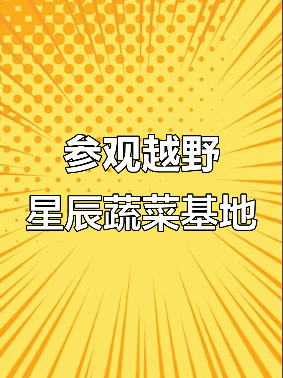 探访越野星辰无公害蔬菜基地,体验绿色生态农业