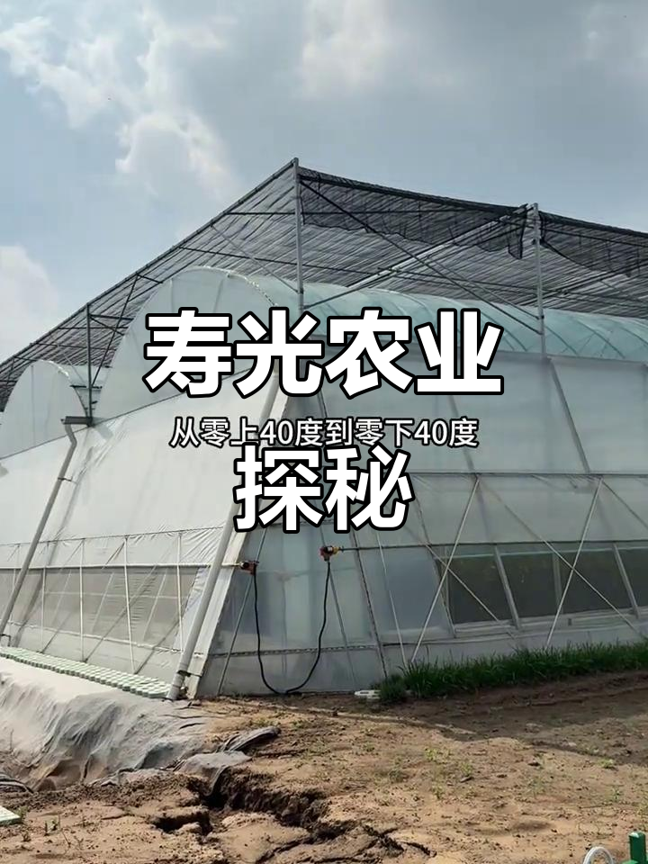 寿光农业之旅，大棚与蔬菜种植让你大开眼界