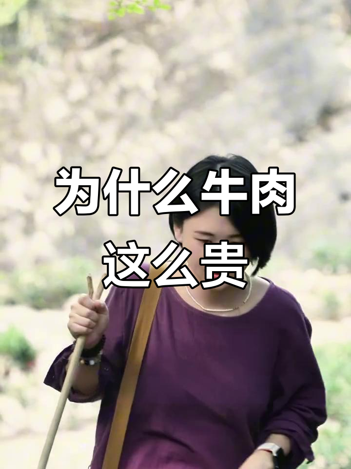 牛栏坑肉桂为何能卖几万?揭秘武夷岩茶的秘密