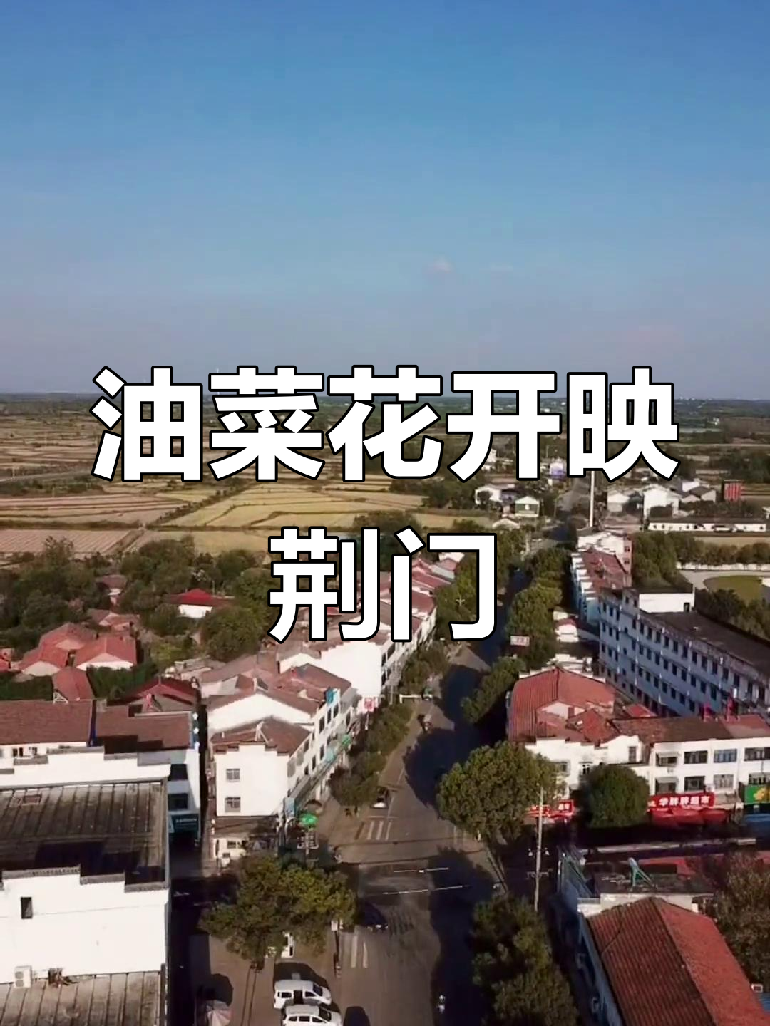 沙洋油菜花节:革命老区的美丽春天