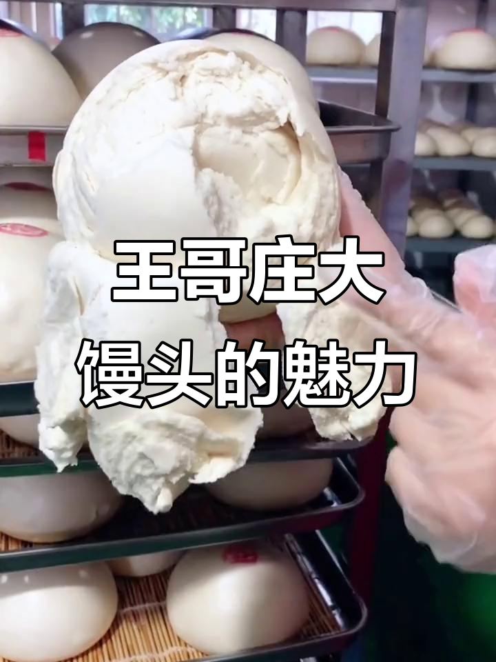 青岛王哥庄大馒头,香软有嚼劲,传统手工制作