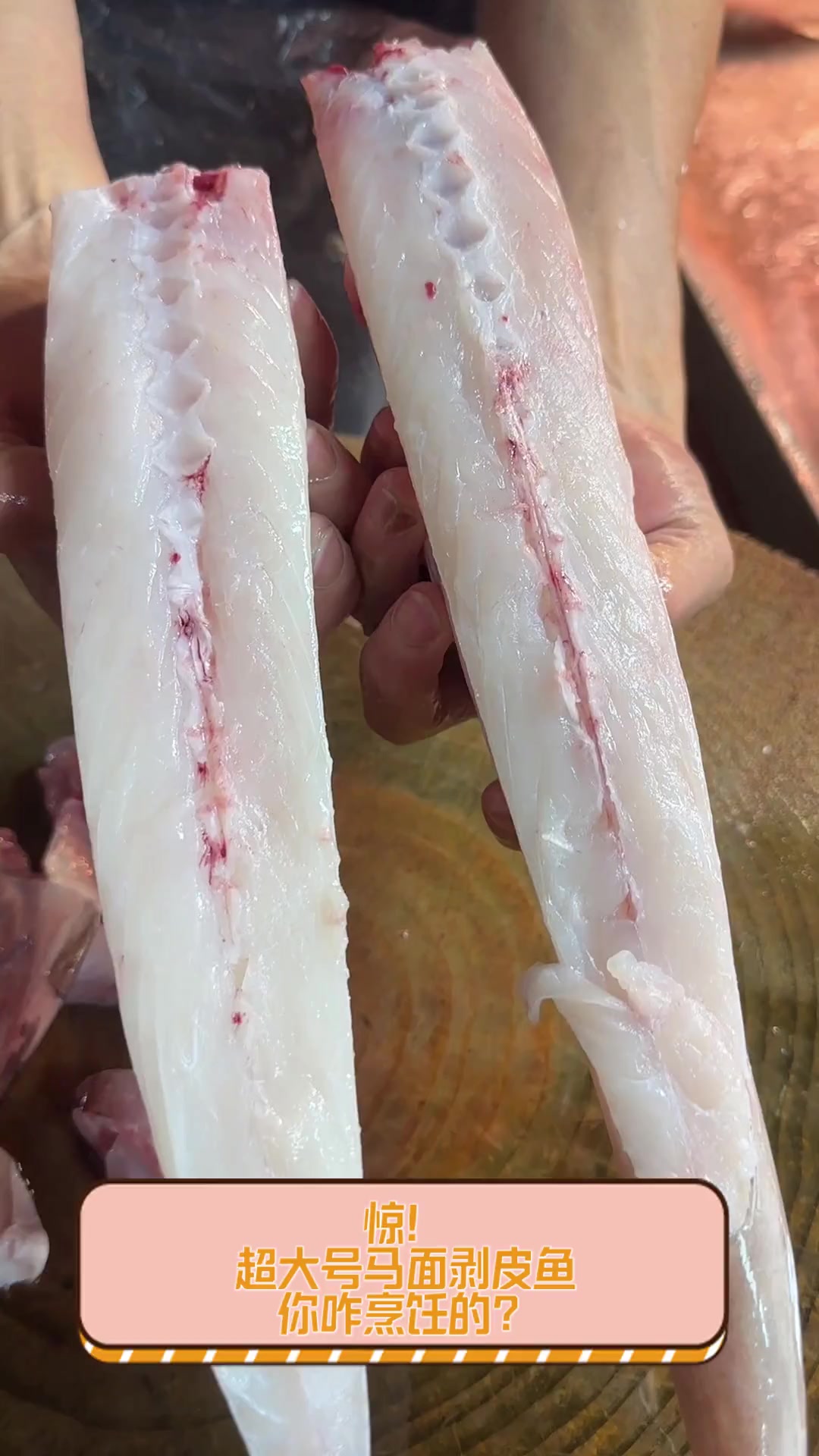 惊!超大号马面剥皮鱼,你咋烹饪的?