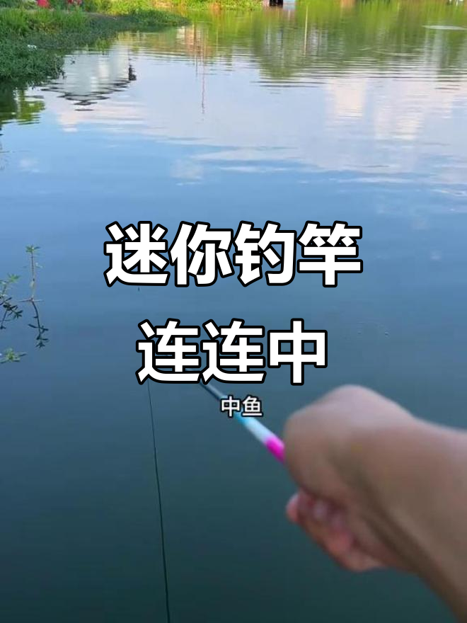 用迷你钓竿连杆大鱼,新手光环太强了!