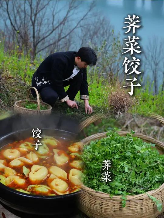 冬日里的第一顿野菜饺子 荠菜饺子