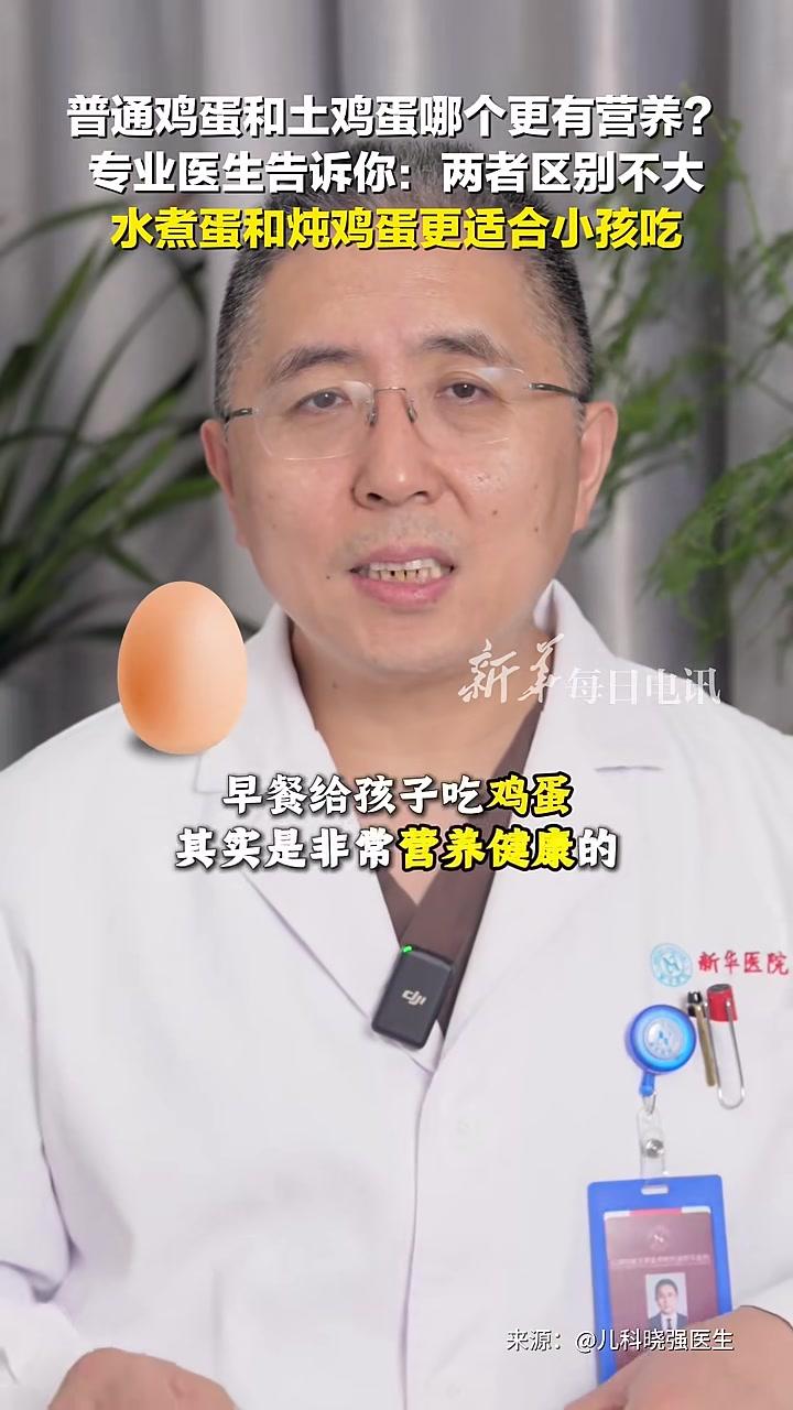 普通鸡蛋和土鸡蛋哪个更有营养？专业医生：两者区别不大，水煮蛋和炖鸡蛋更适合小孩吃