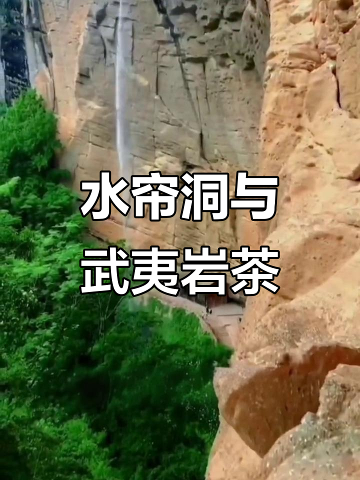探秘武夷山水帘洞:岩茶正岩山场的独特魅力