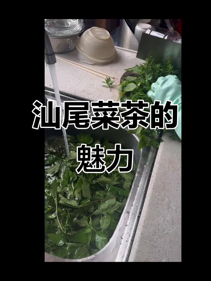 汕尾菜茶:独特美味,让人怀念的味道