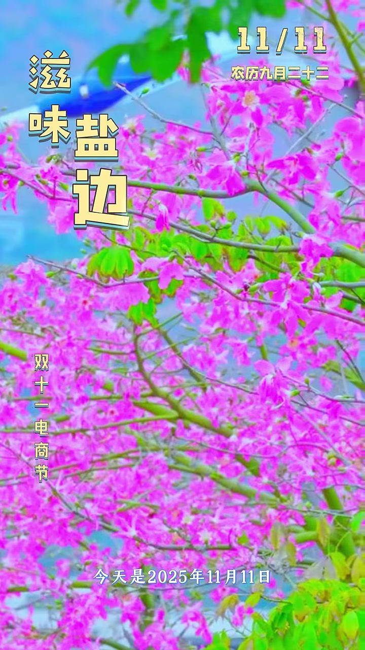 滋味盐边慢漫生活丨11月11日，您好！双十一电商节，盐边油底肉、盐边羊肉米线、芒果干、桑椹