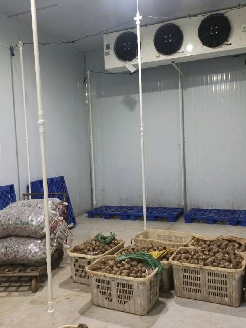 水果蔬菜保鲜冷库这样的安装方法,大家肯定没见过,采用日本保鲜技术,草莓可以存放30天,樱桃