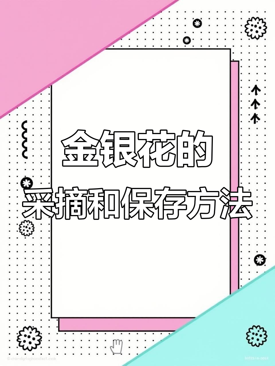 金银花采收与储存技巧,教你如何保证产品质量