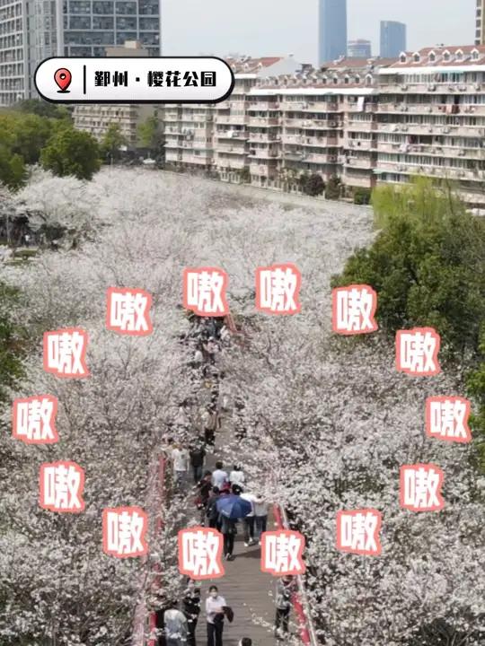 当你迷茫的时候,不妨听听汤姆猫怎么说