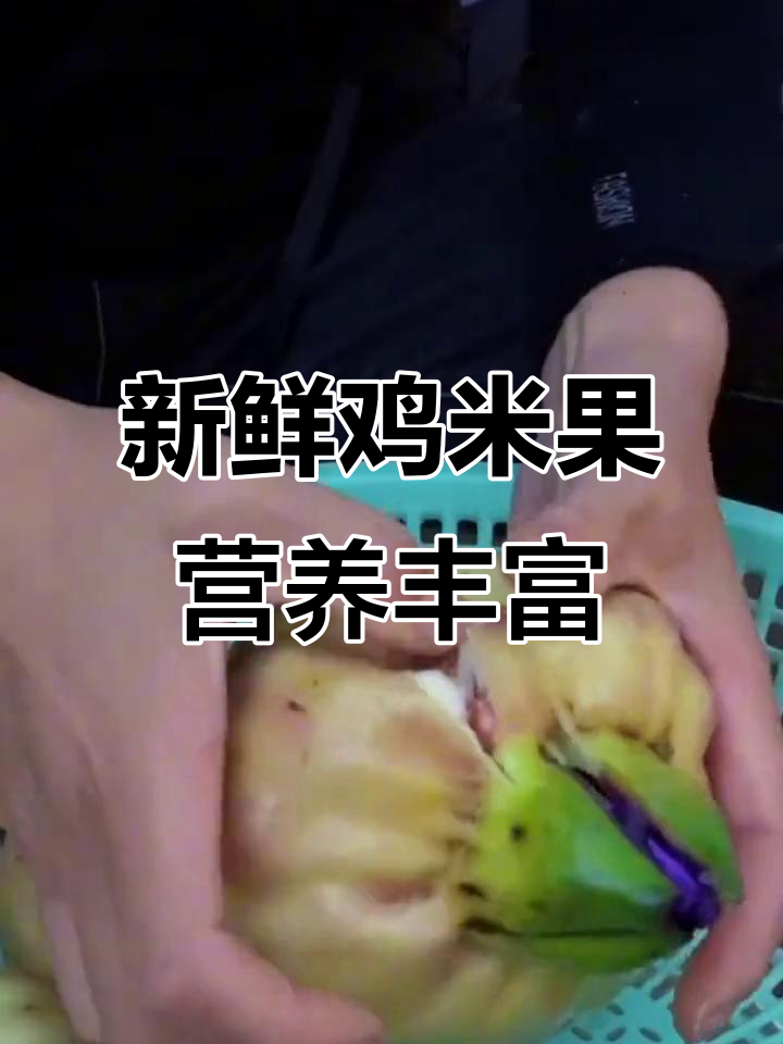 新鲜鸡米果,芡实美味煲粥炒菜糖水皆宜