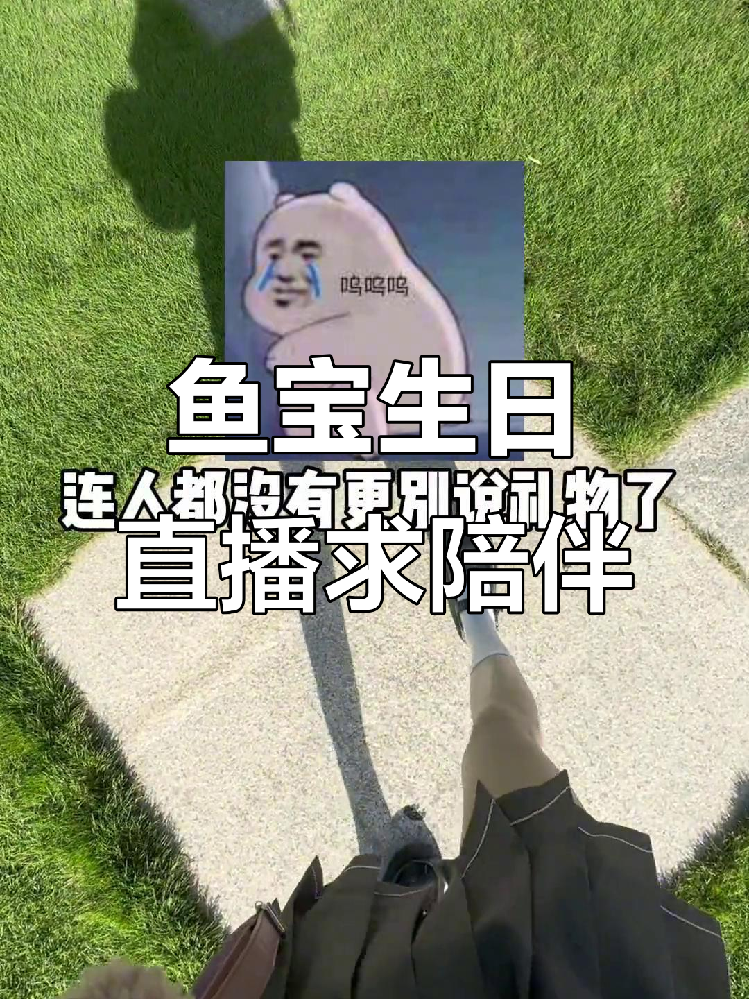 鱼宝俏可爱直播数羊,希望有人陪他过生日