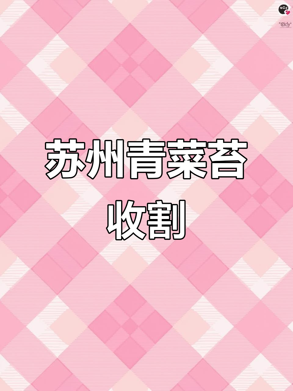 苏州青菜苔采摘记,摘完还能吃叶片