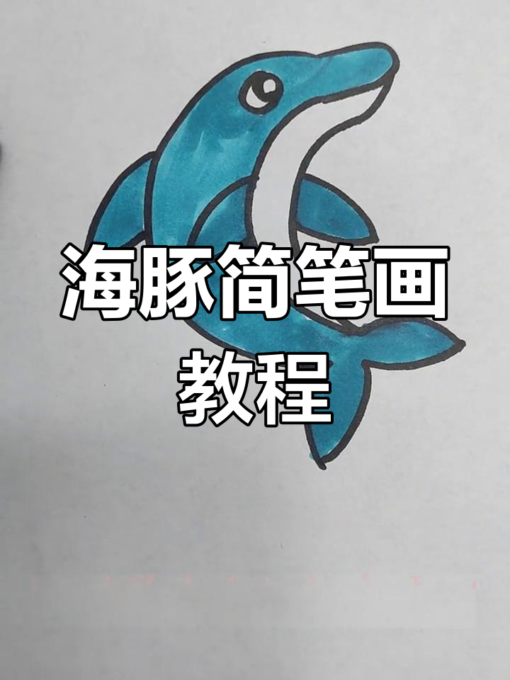 一起学画海豚,保护海洋生物