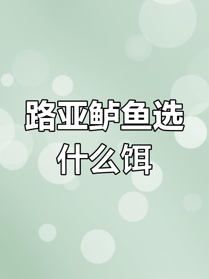 钓淡水鲈鱼的最佳假饵选择