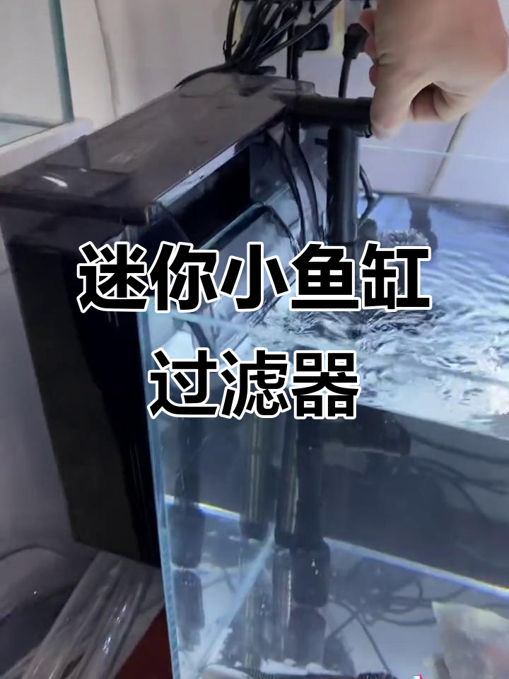 小鱼缸瀑布过滤安装全攻略,轻松打造自然水族环境
