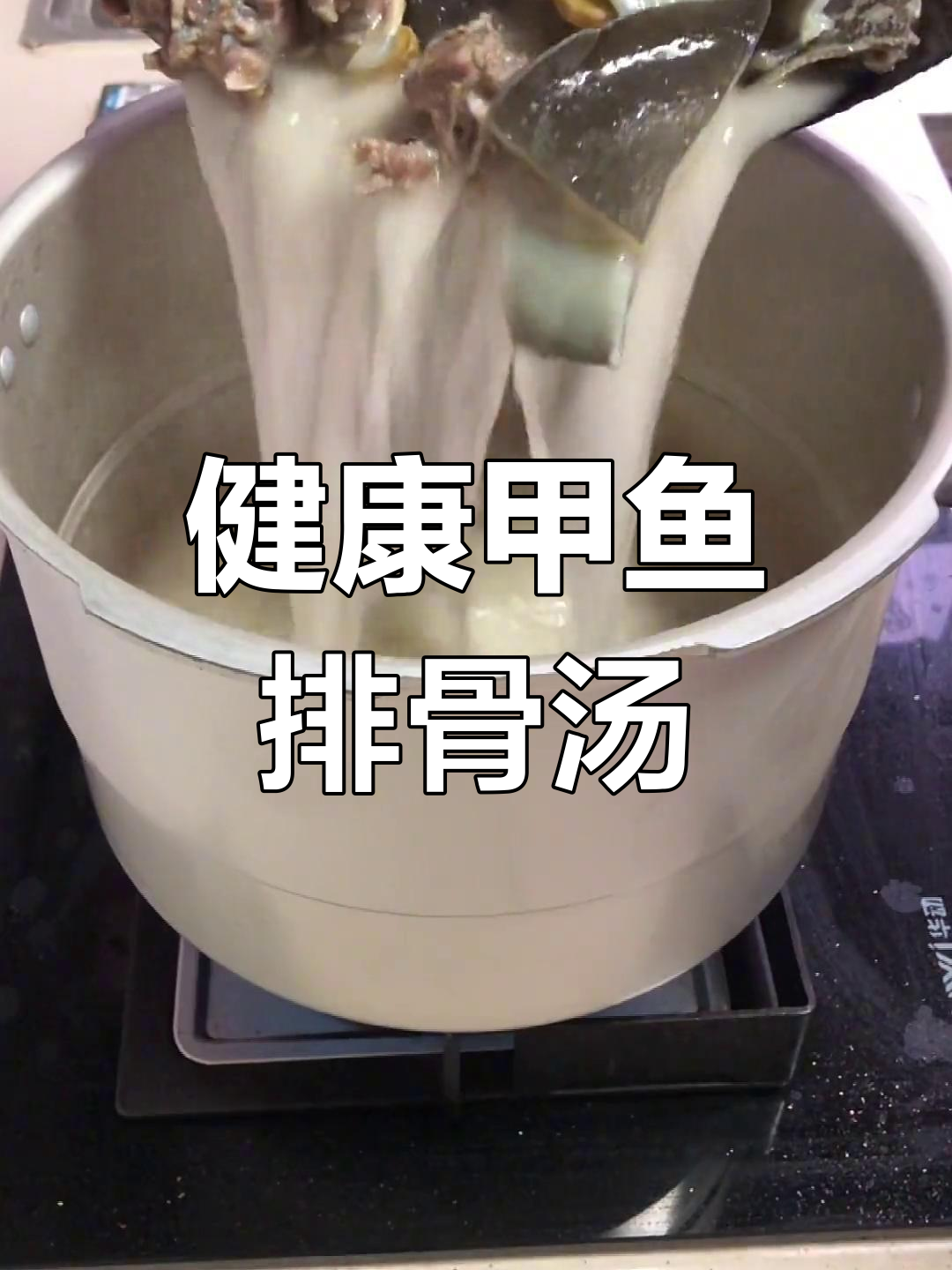甲鱼炖排骨,营养美味做法