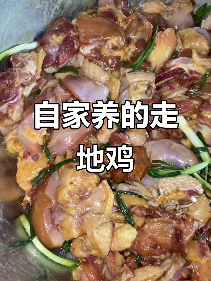 自家果园散养走地鸡，现抓现宰做烧烤，汤粥皆宜