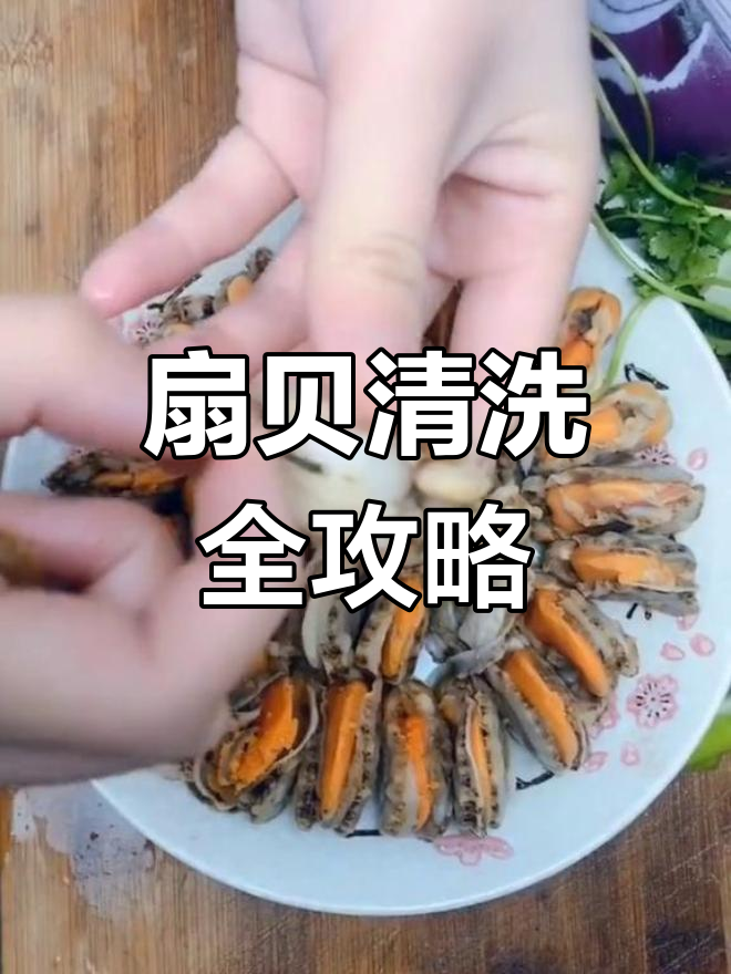 扇贝清洗技巧大揭秘,教你如何去除内脏和沙线