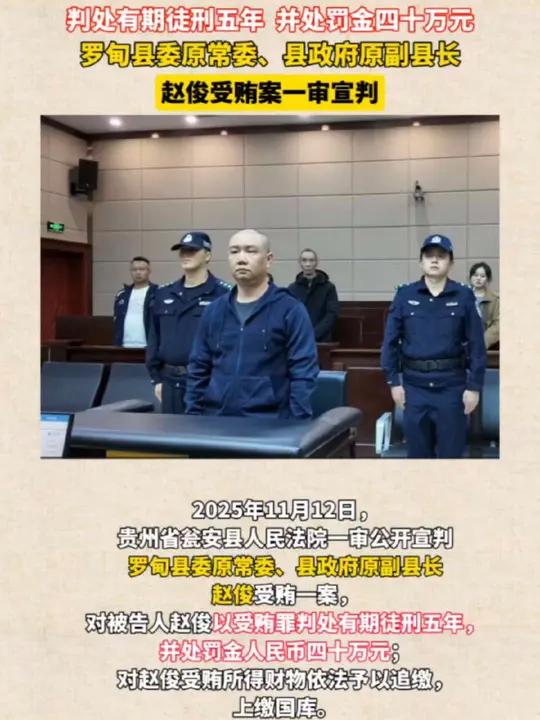 罗甸县委原常委、县政府原副县长赵俊受贿案一审宣判:判处有期徒刑五年,并处罚金人民币四十万元