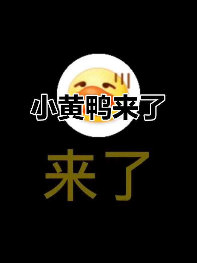 周冬雨带来小黄鸭,下期合体大作战!