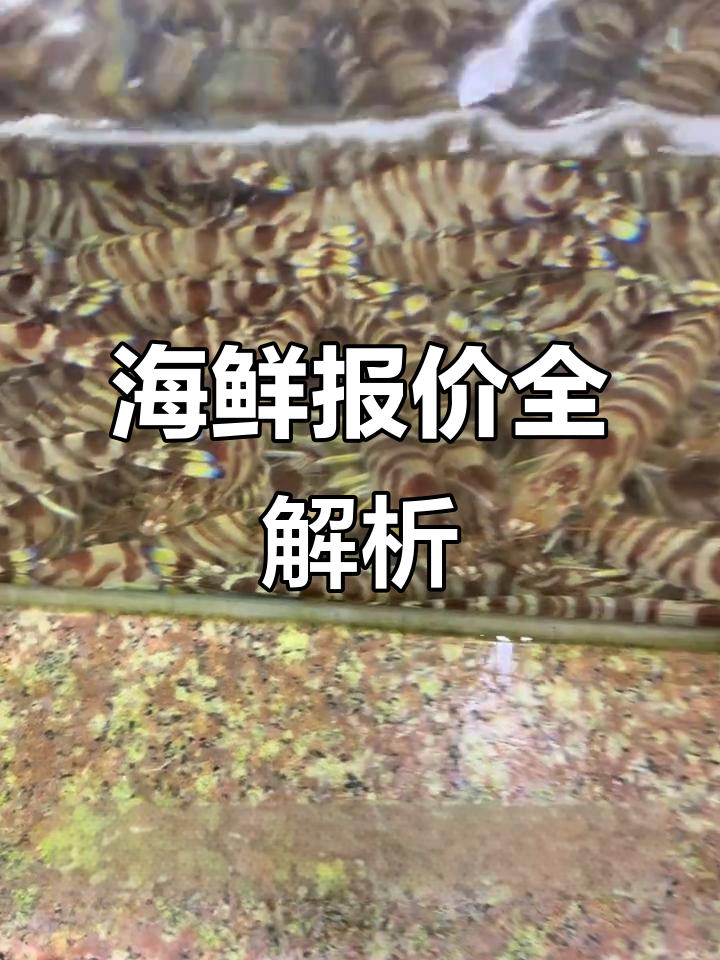 11月海鲜市场行情大揭秘,帝王蟹、龙虾等价格一览