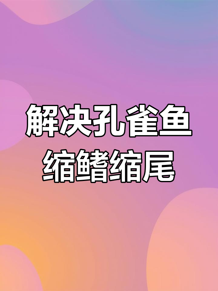 孔雀鱼缩鳍缩尾?水质和温度问题不容忽视