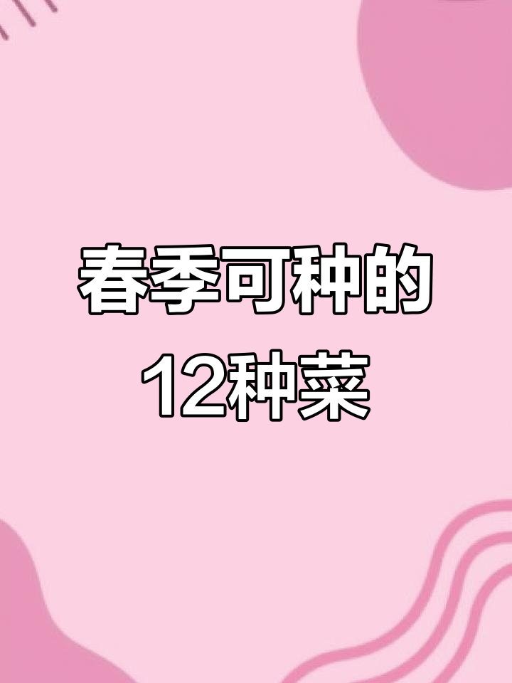 立春后适合种植的12种叶类蔬菜,快来看!