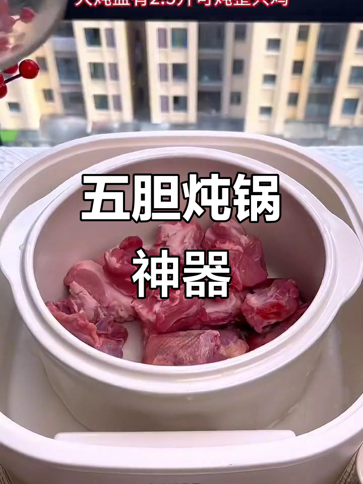 小浣熊炖锅,蒸煮一体,五胆设计超实用!
