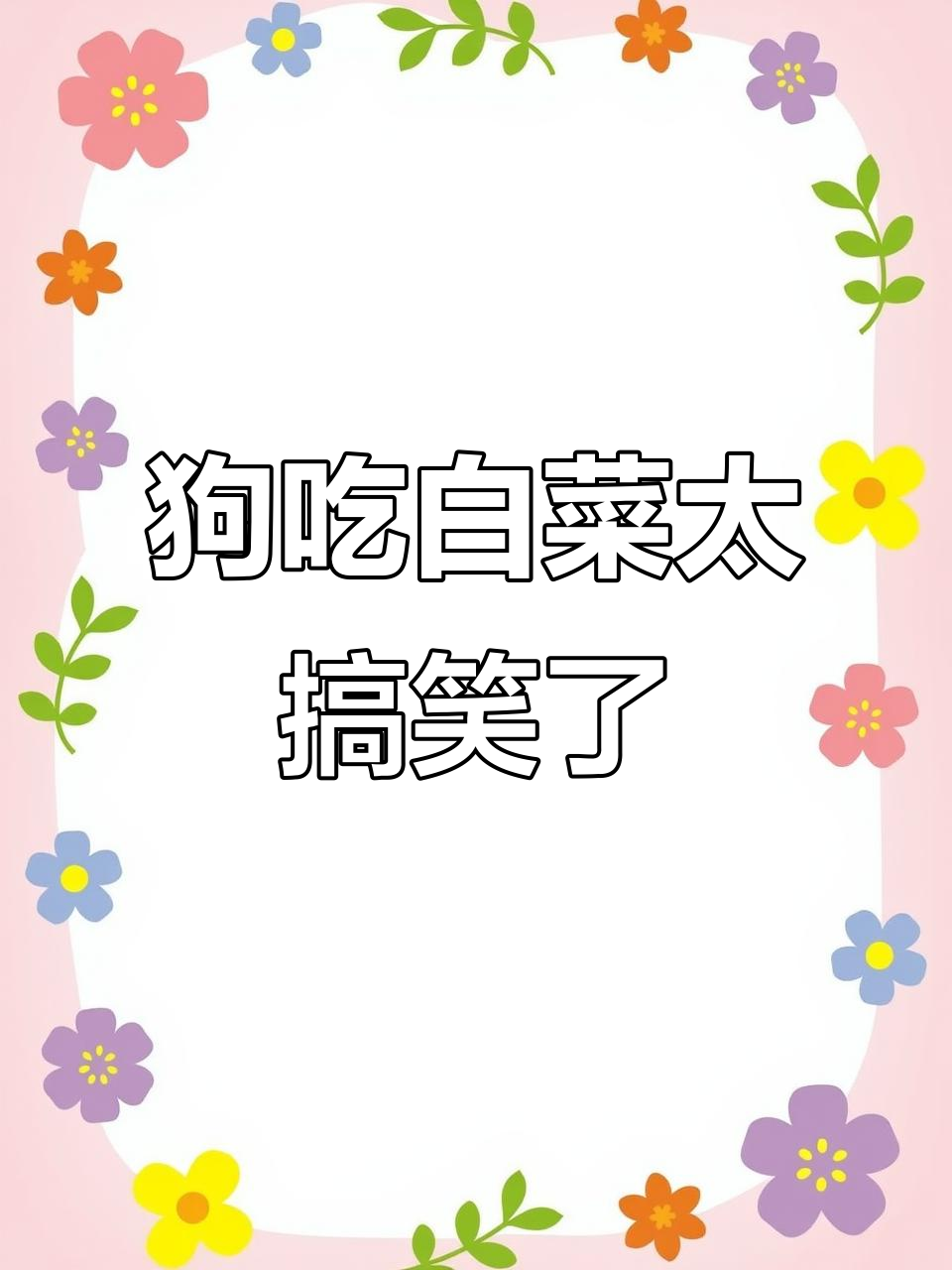 傻狗啃白菜,搞笑造型笑翻了