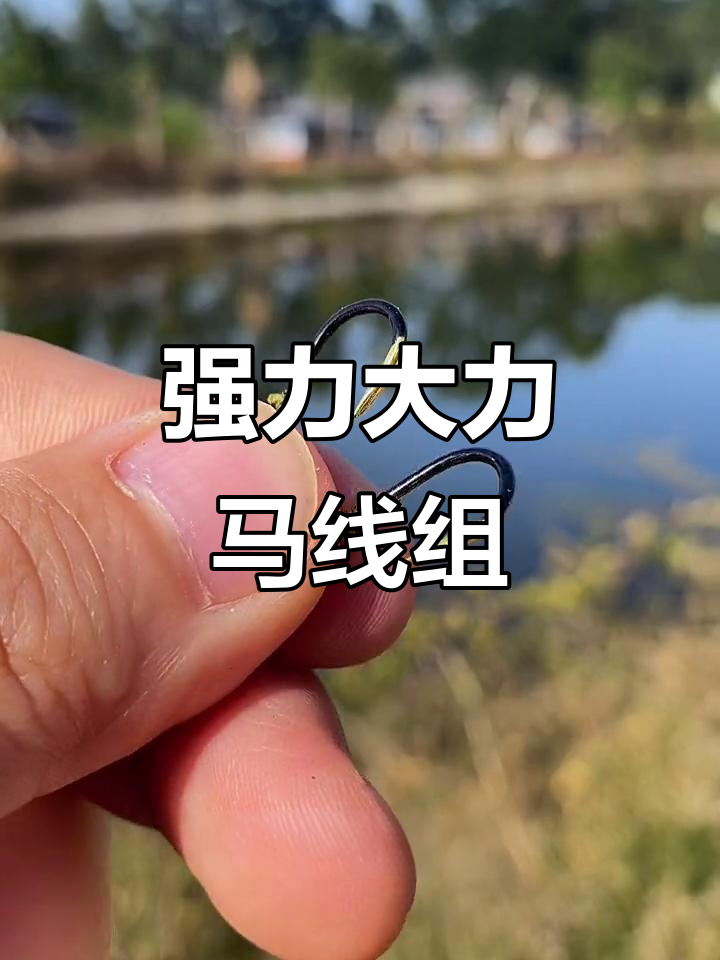 大力马线组直飞三十斤,防缠绕不切线