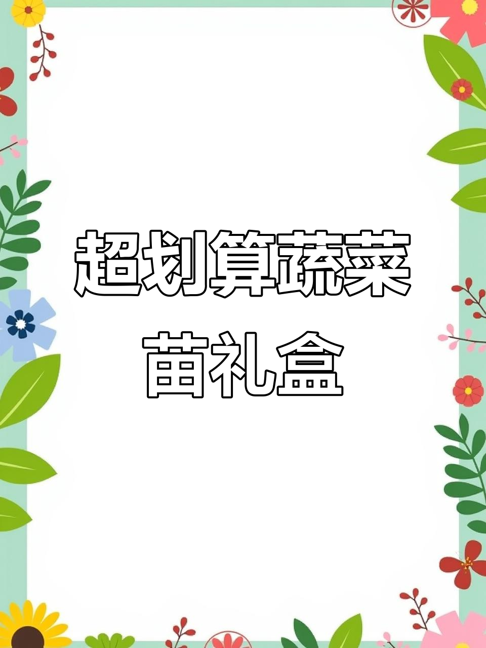 100元预算买这么多蔬菜苗,超值礼盒不容错过!