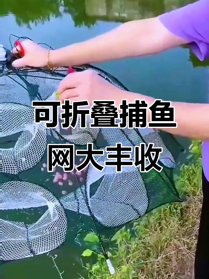 新型折叠捕鱼网，轻松捕捉鲫泥虾黄鳝王八