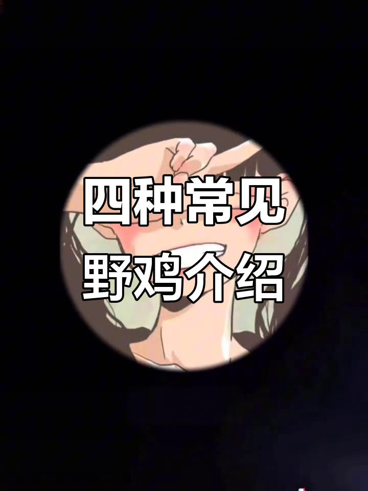 揭秘中国四大常见野鸡，看看你认识几种？